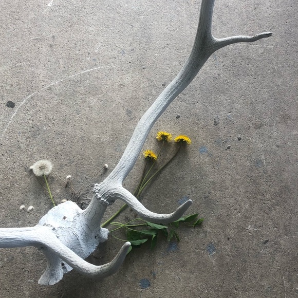 HOLD Vintage | Boho Deer Antler Rack Decor - Picture 2 of 16